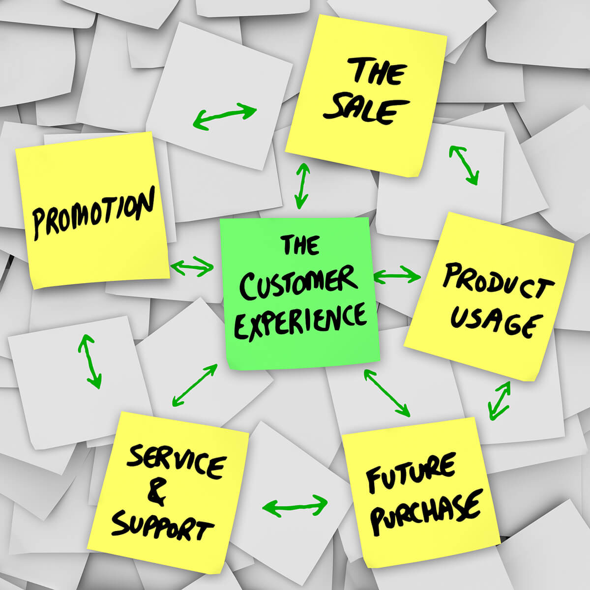 THE CUSTOMER EXPERIENCE: Promotion, Sale, Product Usage, Future Purchase, Service & Support